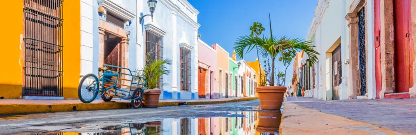 Bild zeigt bunte Straße mit Palme und blauem Himmel
