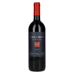 Arachon T.FX.T Burgenland 2020 13,5% Vol. 0,75l