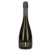 Paladin Prosecco Millesimato Extra Dry DOC 2024 11% vol. 0,75 l