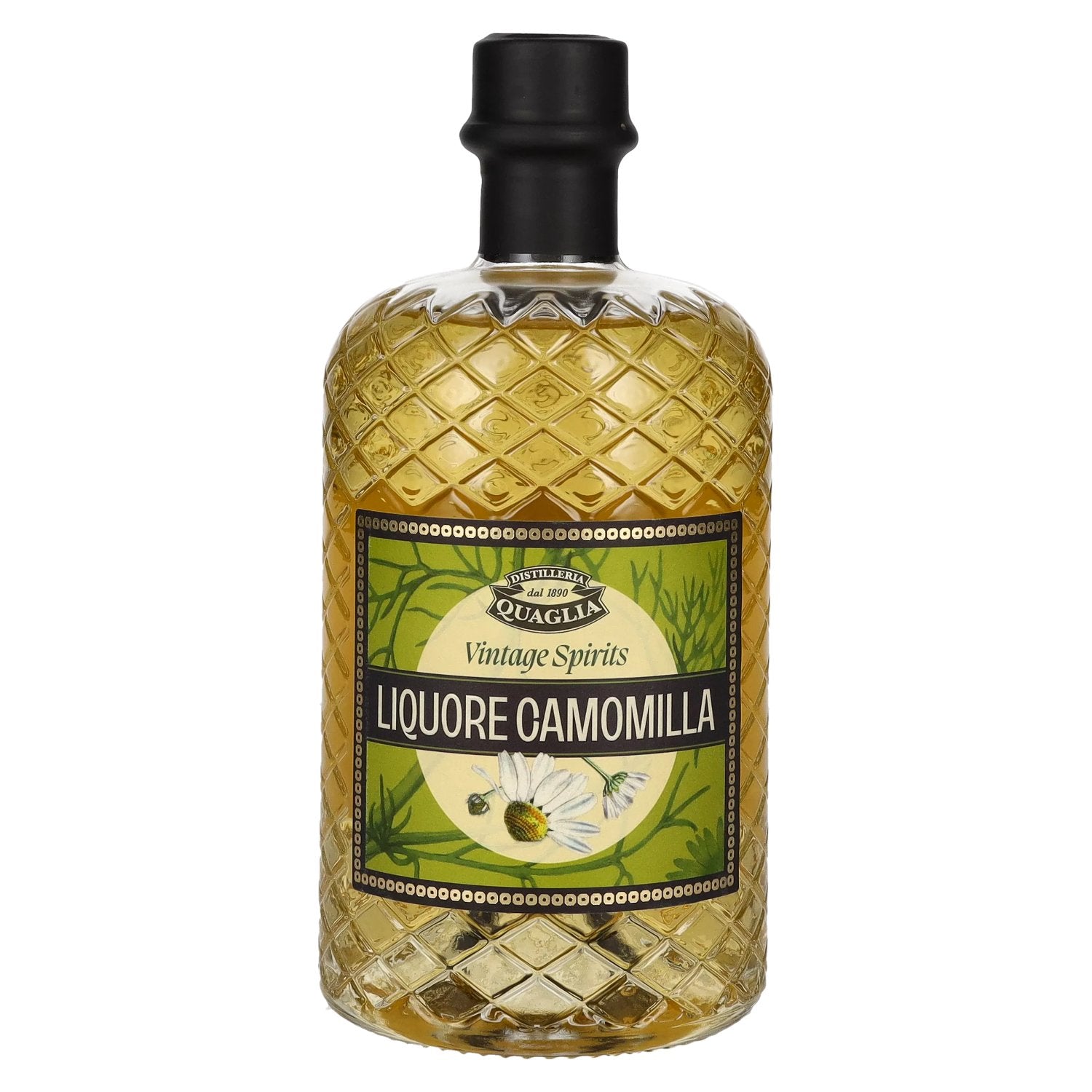 Camomilla