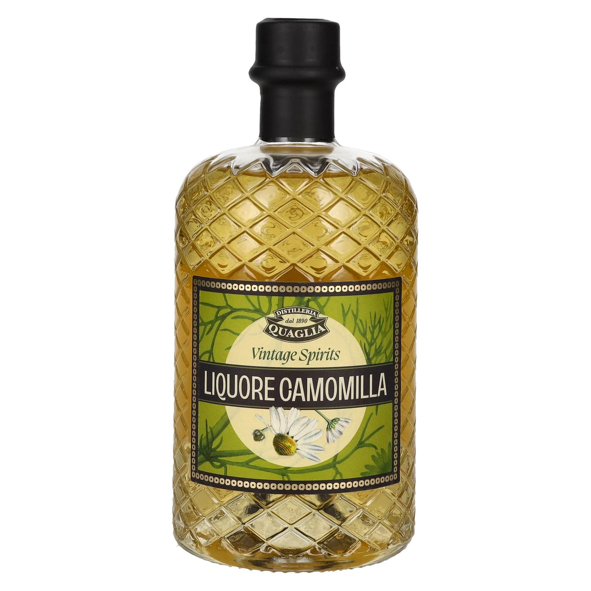 Camomilla