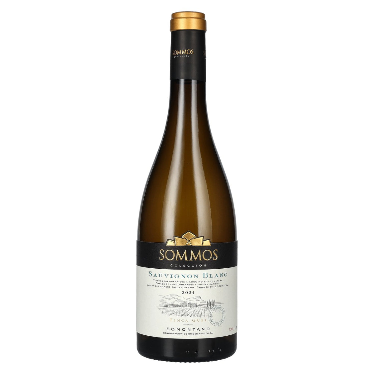 SOMMOS Colección Sauvignon Blanc Somontano D.O.P. 2024 13.5% vol. 0.75 l