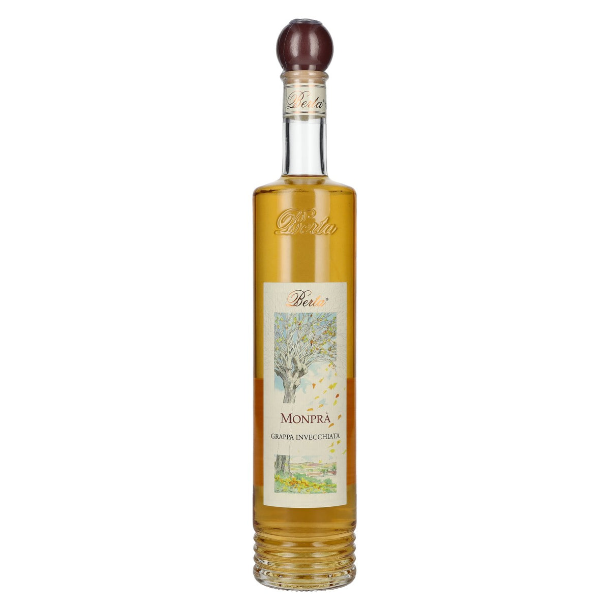 Berta Grappa