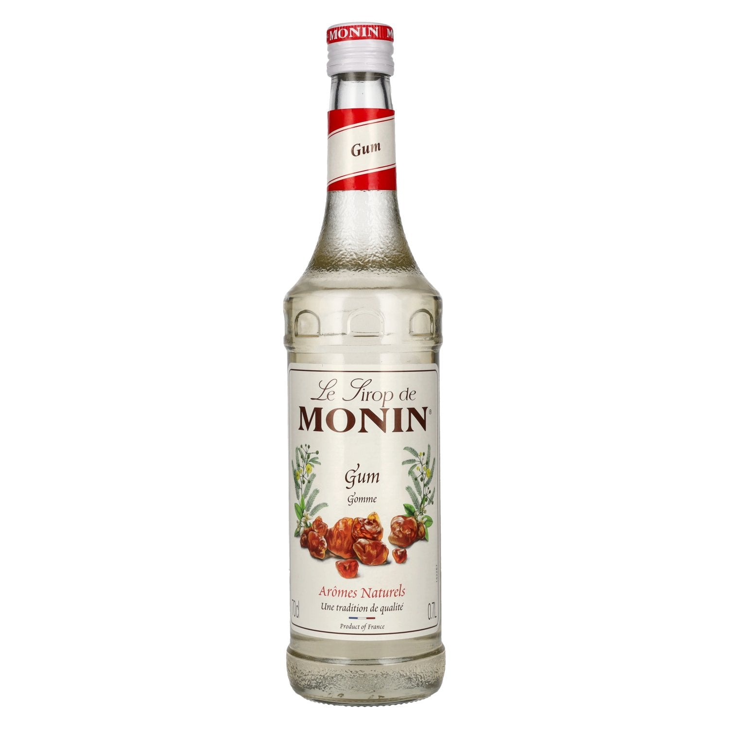 Le Sirop de Monin GUMMI-ARABICUM 0,7l