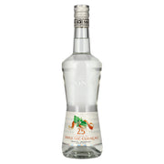 Monin TRIPLE SEC CURAÇAO likeur 25% vol. 0,7 l
