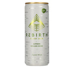 REBIRTH Supreme Organic Drink Ingwer-Minze 0,25l Dose Pfand