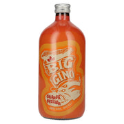 Big Gino Gin ORANGE PASSION 38 % vol. 1 l