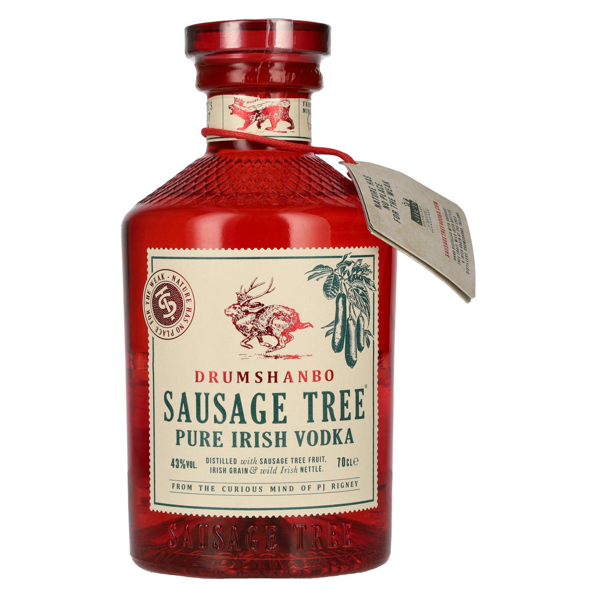 Sausage Tree