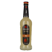 Riemerschmid Bar-Sirup Kokos Coconut 0,7l
