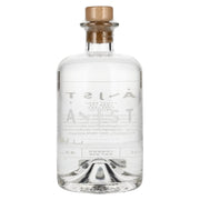 Aeijst Styrian Pale Gin 43,5% vol. 0,5l