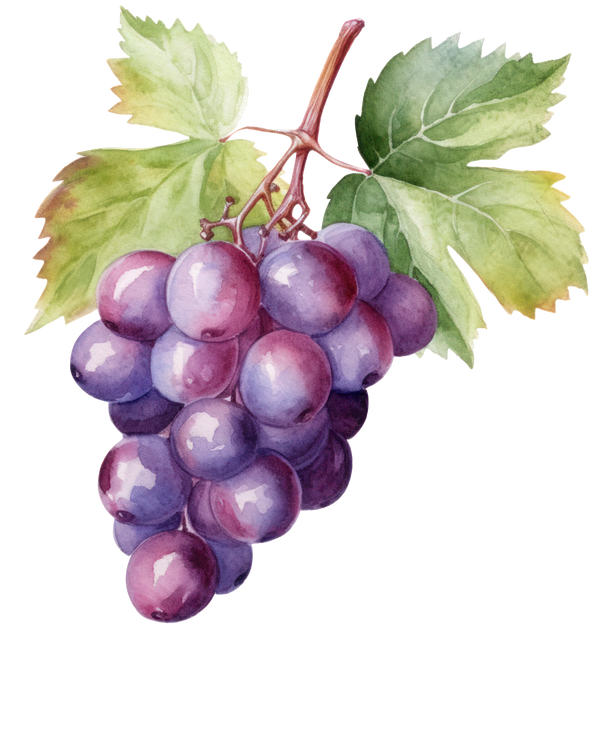 Wein