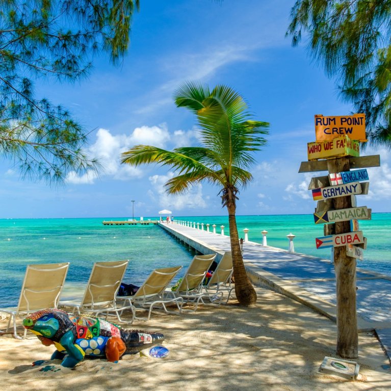 Bunte Wegweiser stehen am Strand, neben einem Steg, umgeben von Palmen und blauem Meer.