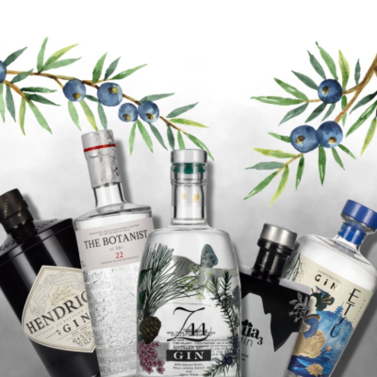 Five gin bottles stand side by side, surrounded by illustrated juniper branches with blue berries.