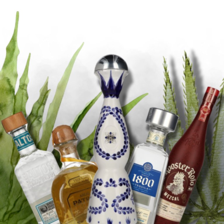 Plusieurs bouteilles de tequila et de mezcal sont alignées devant des feuilles vertes décoratives.