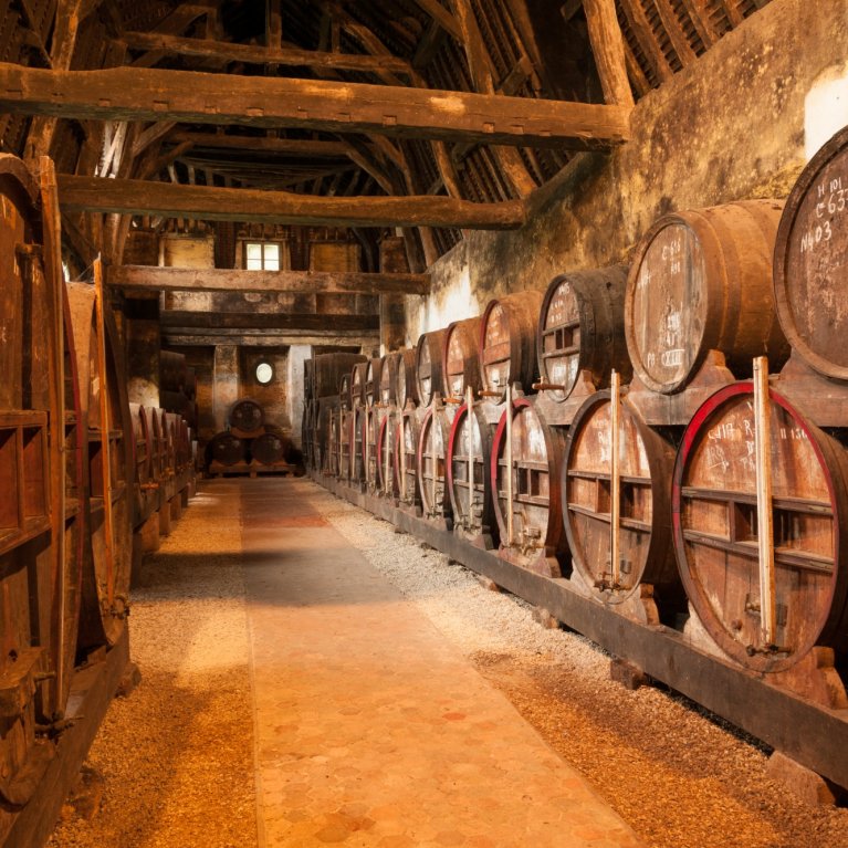 Large wooden barrels are quietly stored in an atmospherically lit, traditional wine cellar.