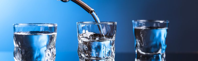 Wodka kopen: Conclusie