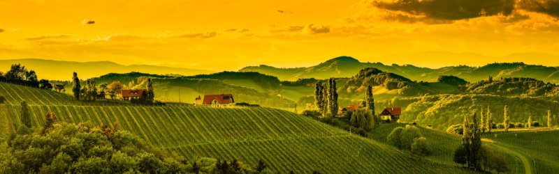 Acheter du vin et du mousseux : Conclusion