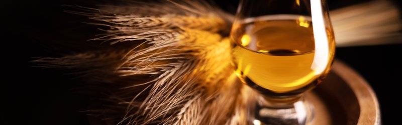 Un verre de whisky est posé sur un tonneau, entouré d'épis de blé dans un arrière-plan sombre.