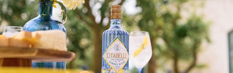 Une bouteille de gin est posée sur une table avec des fleurs, un plateau de fromages et un verre à cocktail en plein air.