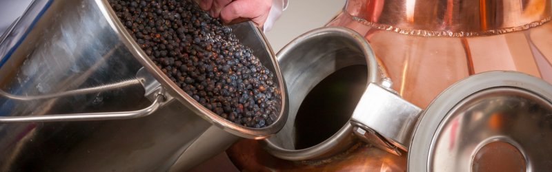 Bucket of juniper berries is poured into shiny copper still, person holds bucket.