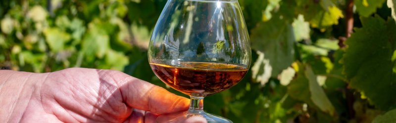 Acheter du cognac : Définition du cognac