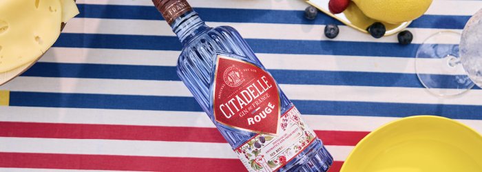Eine Gin Flasche steht auf einem Tisch im Garten mit einem schönen Weinglas daneben 