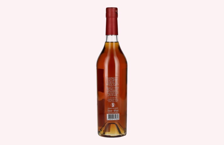 H by Hine VSOP Fine Champagne Cognac Design 40% Vol. 0,7l