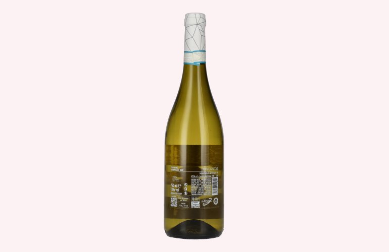 L'ORSO Pecorino Abruzzo DOC 2025 13% Vol. 0,75l