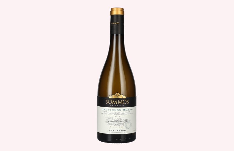 SOMMOS Colección Sauvignon Blanc Somontano D.O.P 2024 13,5% Vol. 0,75l