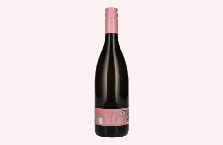 Hillinger Pinot Noir Blanc de Noir 2024 12% Vol. 0,75l