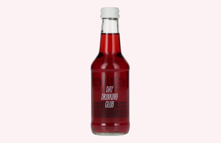 Schilerol Spritzeritif 3% Vol. 0,25l