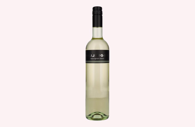 Hillinger Sauvignon Blanc 2022 13% Vol. 0,75l
