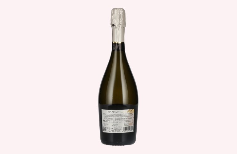 Hochriegl Spumante Bianco 11% Vol. 0,75l