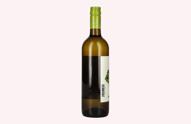 Christian & Thomas Weiss Pinot Blanc 2024 13,5% Vol. 0,75l