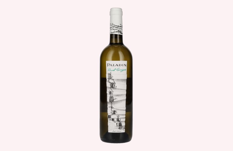 Paladin Pinot Grigio Venezia DOC 2023 12,5% Vol. 0,75l
