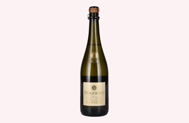 Bottega FRAGOLINO Bianco Country 10% Vol. 0,75l