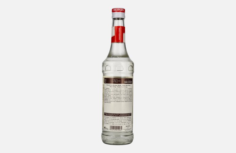Le Sirop de Monin MOJITO MINZE 0,7l