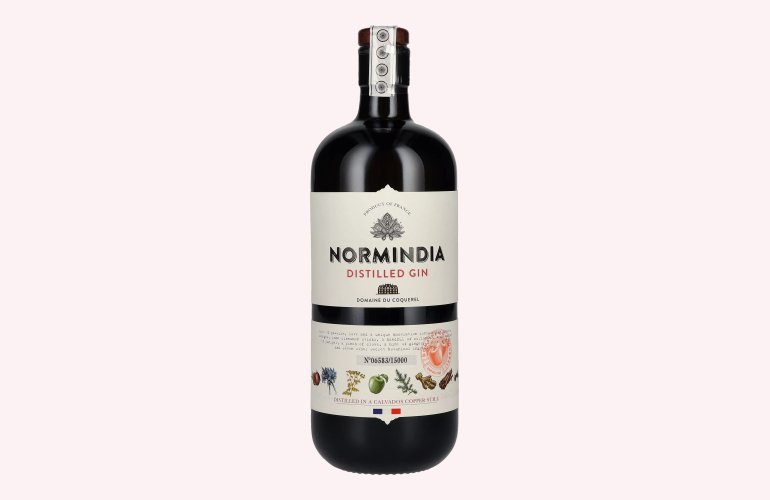 Normindia Gin Distillé 41,4% Vol. 0,7l