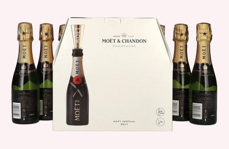 Moët & Chandon Champagne AT HOME PACK 12% Vol. 6x0,2l in Geschenkbox mit Bottle Sippers