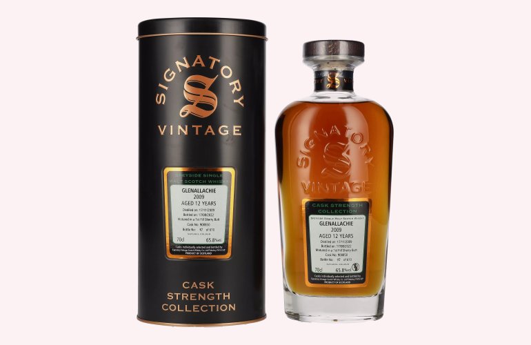 Signatory Vintage GLENALLACHIE 12 Years Old Cask Strength 2009 65,8% Vol. 0,7l in Tinbox