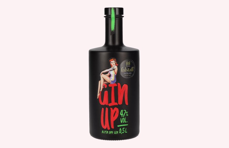 GinUp Alpine Dry Gin 47% Vol. 0,5l