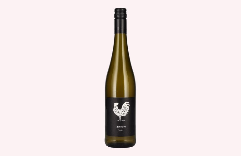 Franz Hahn Chardonnay 2020 13% Vol. 0,75l