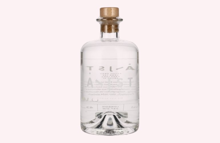 Aeijst Styrian Pale Gin 43,5% Vol. 0,5l