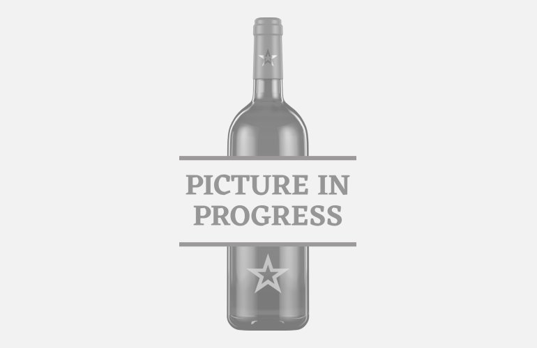 The Artisan Classic London Tonic 24x0,2l