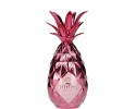 Fles