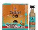Fles